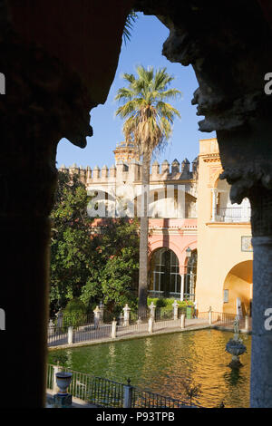 Estanque de Mercurio (Merkur) und Jardín de las Danzas, von den Almohaden Mauer und Galeria del Grutesco, Real Alcázar Gärten, Sevilla, Spanien Stockfoto