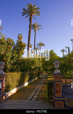 Ansicht des Jardín del Marqués de La Vega-Incl án, mit einem Bächlein in der Mitte eines Weges, Real Alcázar Gärten, Sevilla, Andalusien, Spanien Stockfoto