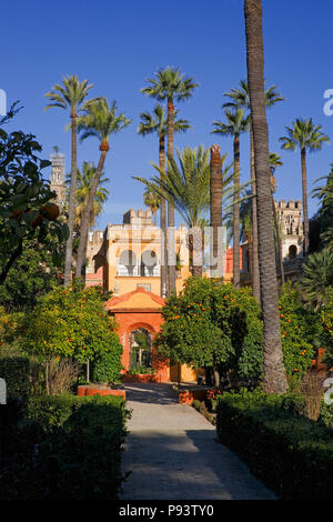 Jardín de Las Damas, Real Alcázar Gärten, Sevilla, Andalusien, Spanien Stockfoto