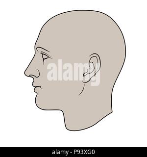 Hand menschlichen Kopf im Profil gezeichnet. Färbbar flachbild Vektor auf weißem Hintergrund. Stock Vektor