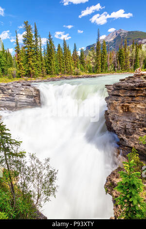 Athabasca Falls im Jasper Nationalpark auf dem Icefields Parkway in Alberta, Kanada. Eine Klasse 5 Wasserfall, es ist die mächtigste Wasserfall im Können Stockfoto