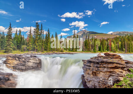 Athabasca Falls im Jasper Nationalpark auf dem Icefields Parkway in Alberta, Kanada. Eine Klasse 5 Wasserfall, es ist die mächtigste Wasserfall im Können Stockfoto