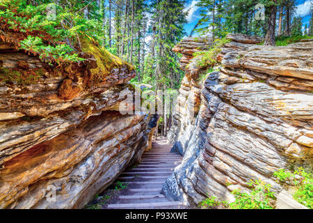 Lange Wendeltreppe Schnitte durch den Canyon am Athabasca Falls auf dem Icefields Parkway in Jasper National Park in Alberta, Kanada. Stockfoto