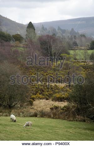 Ein Blick auf die glendalough Landschaft als von einer Straße in der Ferne zu sehen. Stockfoto