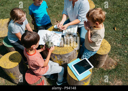 Junge primäre Studenten erkunden Kräuter durch ihre Sinne im Garten. Blick von oben auf die Schule die Kinder sitzen um einen Tisch und Lernen über Pflanzen. Stockfoto