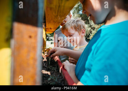 Junge Schüler lernen über Pflanzen in einen Park. Gruppe von Kindern Pflanzen zusammen, Pflanzung im Garten an einem sonnigen Tag. Stockfoto