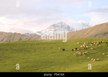 Roopkund Trekking durch die Berge des Himalaja Stockfoto