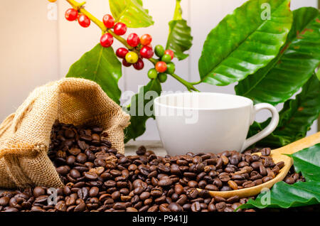 Close up Braun gerösteten Kaffeebohnen mit rote reife Kaffeekirschen und Blätter Stockfoto