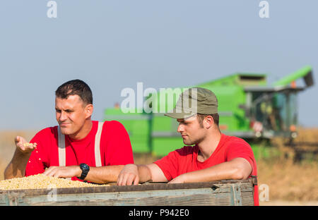 Junge Landwirte untersuchen soyabean in Anhänger nach der Ernte Stockfoto