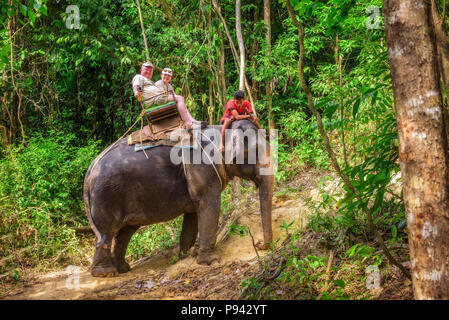 Touristen reiten auf einem Elefanten in Thailand. Stockfoto