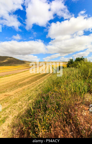 Landschaft der goldenen Felder und Wolken, Provinz Granada, Spanien Stockfoto