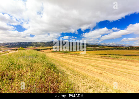 Landschaft der goldenen Felder und Wolken, Provinz Granada, Spanien Stockfoto