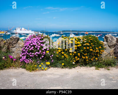 Das Harbourside auf St Mary's, Isles of Scilly. Stockfoto