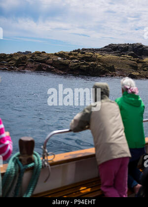 Menschen auf einem Meer safari, Isles of Scilly. Stockfoto