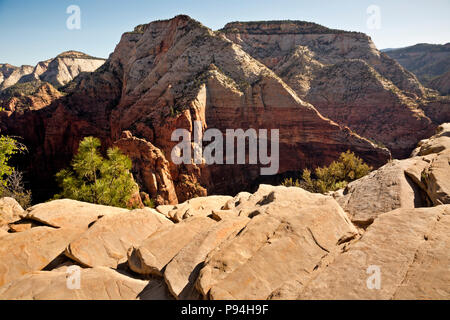 UTAH - am frühen Morgen auf der Beobachtung von Angels Landing im Zion National Park. Stockfoto