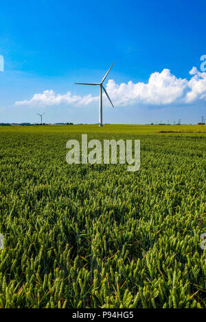 Windenergieanlagen und Kulturpflanzen in Felder, Holderness, in der Nähe von Hull, East Yorkshire Stockfoto