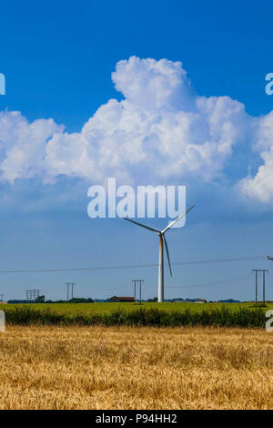 Windenergieanlagen und Kulturpflanzen in Felder, Holderness, in der Nähe von Hull, East Yorkshire Stockfoto