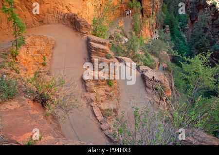 UT 00454-00... UTAH - Wanderer auf dem unteren Abschnitt des Walter's Wiggles, eine Reihe von Serpentinen bis eine Klippe unter Scouts Lookout auf dem West Rim und Engel Stockfoto