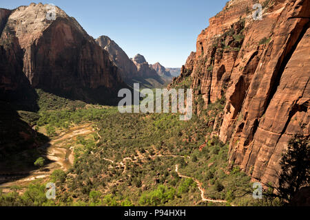 UT 00455-00... UTAH - Zion Canyon aus dem West Rim/Angels Landing Trail im Zion National Park. Stockfoto