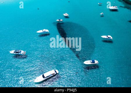 Luftaufnahme von einigen Yachten auf ein Smaragd und transparente Mittelmeer. Golf der Großen Pevero, Emerard Küste (Costa Smeralda, Sardinien, Italien. Stockfoto