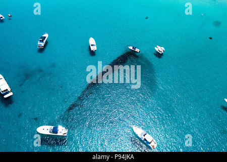 Luftaufnahme von einigen Yachten auf ein Smaragd und transparente Mittelmeer. Golf der Großen Pevero, Emerard Küste (Costa Smeralda, Sardinien, Italien. Stockfoto