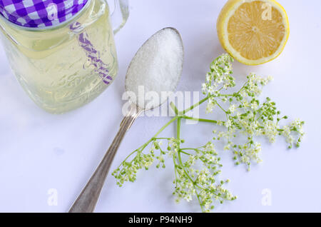 Die Herstellung von holunderblüten Limonade. Eine Bereit-Drink von holunderblüten Limonade mit Holunderblüten, Zitrone und Zucker daneben gemacht mit weißem Hintergrund. Stockfoto