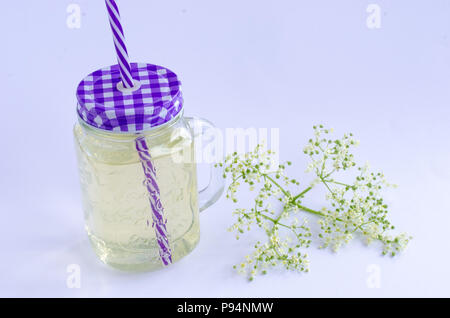 Die Herstellung von holunderblüten Limonade. Eine Bereit-Drink von holunderblüten Limonade mit holunderblüten Daneben gemacht mit weißem Hintergrund. Stockfoto