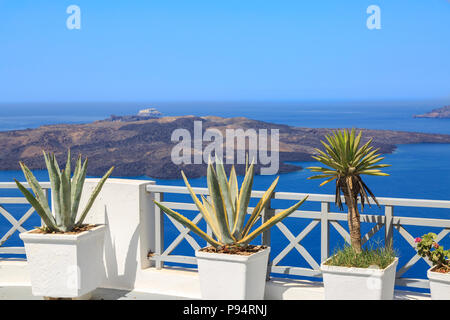Aloe Vera und anderen Pflanzen auf dem Balkon in Thira, Santorini, Griechenland Stockfoto
