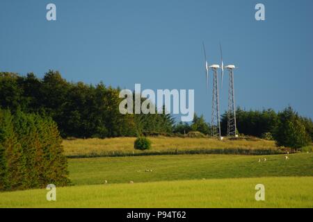 Paar von Windenergieanlagen auf einem Schottischen Bauernhof von pulsierenden grünen Weide und Nadelbaum Plantage. Juli, 2018. Stockfoto