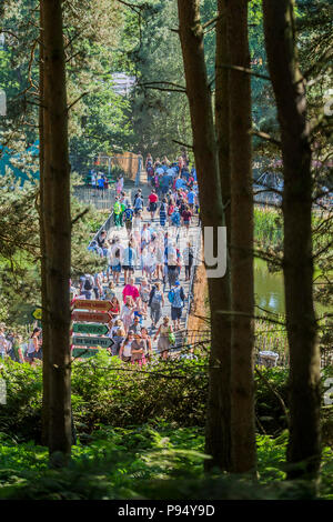 Suffolk, Großbritannien, 14. Juli 2018. Der Blick aus dem Holz - Die 2018 Latitude Festival, henham Park. Suffolk vom 14. Juli 2018 Credit: Guy Bell/Alamy leben Nachrichten Stockfoto