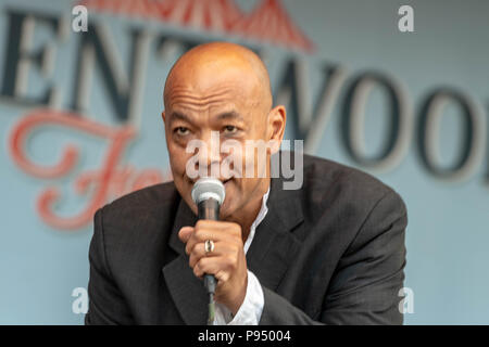 Brentwood Essex, 14. Juli 2018 Brentwood Music Festival 2018 im Brentwood Center Roland Geschenk der Fine Young Cannibals Credit Ian Davidson/Alamy leben Nachrichten Stockfoto