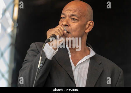 Brentwood Essex, 14. Juli 2018 Brentwood Music Festival 2018 im Brentwood Center Roland Geschenk der Fine Young Cannibals Credit Ian Davidson/Alamy leben Nachrichten Stockfoto