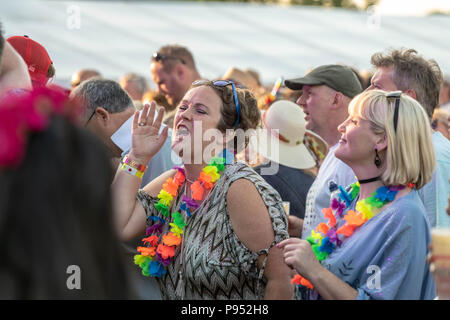 Brentwood Essex, 14. Juli 2018 Brentwood Music Festival 2018 im Brentwood Center Roland Geschenk der Fine Young Cannibals Credit Ian Davidson/Alamy leben Nachrichten Stockfoto