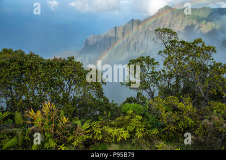 South Pacific, USA, Hawaii, Hawaii, Insel, Kauai, North Shore, Na Pali Küste (m) Stockfoto