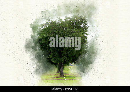 Abstrakte farbenfrohe Baum Aquarell Textur Hintergrund und Digitale Illustration Bürste Art. Stockfoto