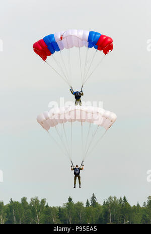 ALABINO, Moskauer Gebiet, Russland - Juli 29, 2017: Der Russische Fallschirmjäger zeigen Skill der Landung am Fest der Russischen Air Assault Truppen Stockfoto