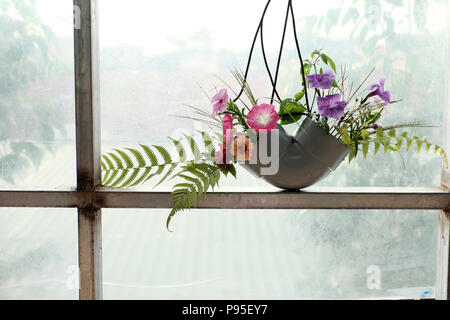 Freizeitaktivitäten mit Recycling von Abfällen vase Dekoration Zuhause zu machen, bunte Daisy in der Wasserleitung auf weißem Hintergrund Stockfoto