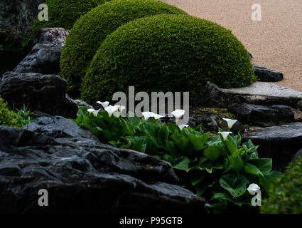 Entworfen von dem renommierten Gärtner Kinsaku Nakane, Garten Adachi's Museum ist wie ein Gemälde oder eine lebendige blättern Sie durch Windows nur angesehen zu werden. Stockfoto