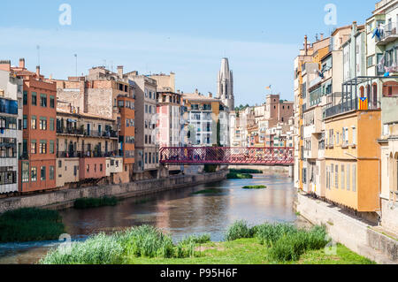 Die Häuser am Fluss Onyar mit Dom im Hintergrund, Girona, Katalonien, Spanien Stockfoto