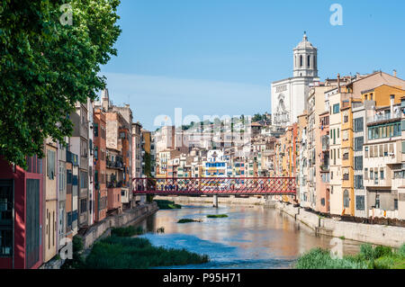 Die Häuser am Fluss Onyar mit Dom im Hintergrund, Girona, Katalonien, Spanien Stockfoto