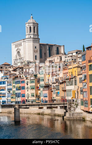 Die Häuser am Fluss Onyar mit Dom im Hintergrund, Girona, Katalonien, Spanien Stockfoto