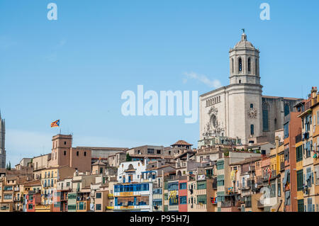Die Häuser am Fluss Onyar mit Dom im Hintergrund, Girona, Katalonien, Spanien Stockfoto