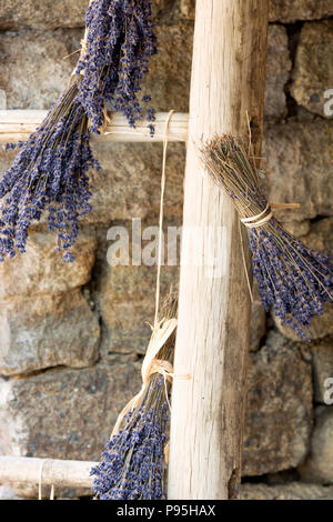 Lavendel Dekoration auf Leiter Stockfoto