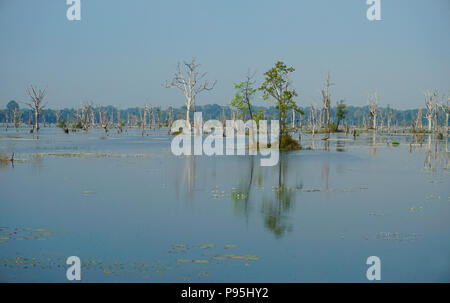 Überfluteten Umgebung auf dem Weg zum Tempel Ruinen von Neak Pean, Angkor Archäologischer Park, Provinz Siem Reap Stockfoto