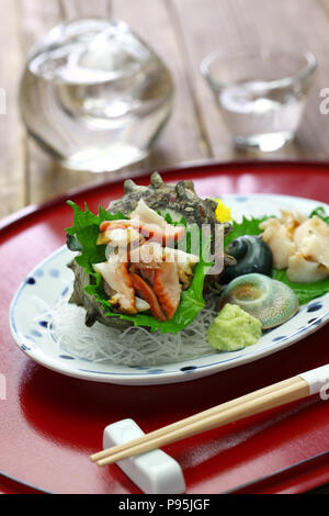 Sazae keine Sashimi, Japanisch frische rohe melshellfish Sashimi Stockfoto