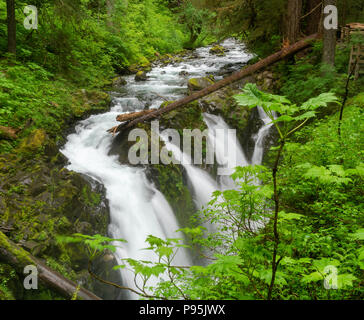 Sol Duc fällt, Olympic National Park, Washington State, USA. Stockfoto