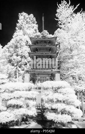 Pagode in einem japanischen Garten im Golden Gate Park, San Francisco, Kalifornien Stockfoto