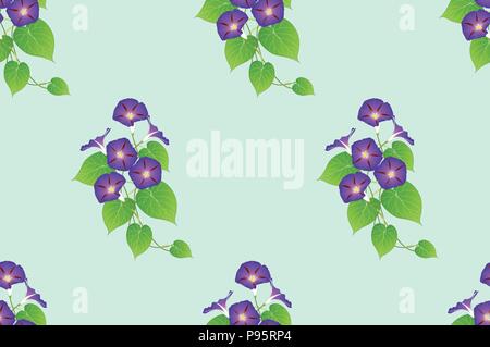 Lila Morning Glory nahtlos auf Grüne Minze Hintergrund. Vector Illustration. Stock Vektor