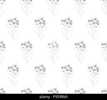 Vanda Miss Joaquim Orchid Nahtlose auf weißem Hintergrund. Vector Illustration. Singapur nationale Blume. Stock Vektor