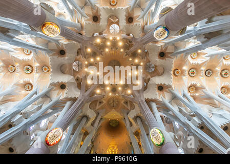 Blick nach oben an die Decke Detail der Sagrada Familia in Barcelona, Spanien. Stockfoto